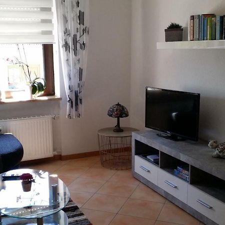 Ferienwohnung Saarblick Ockfen エクステリア 写真