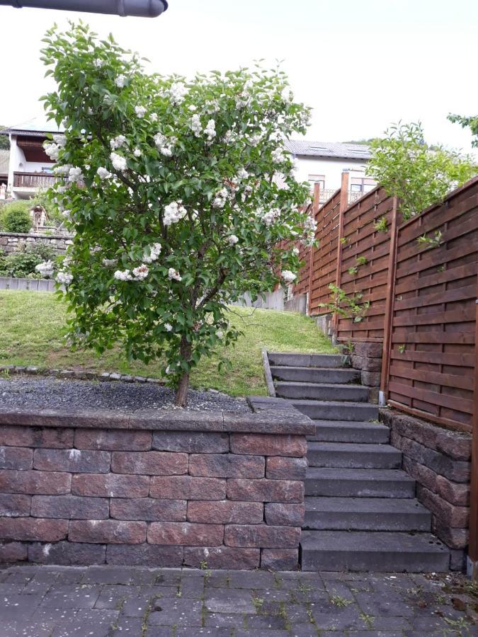 Ferienwohnung Saarblick Ockfen エクステリア 写真