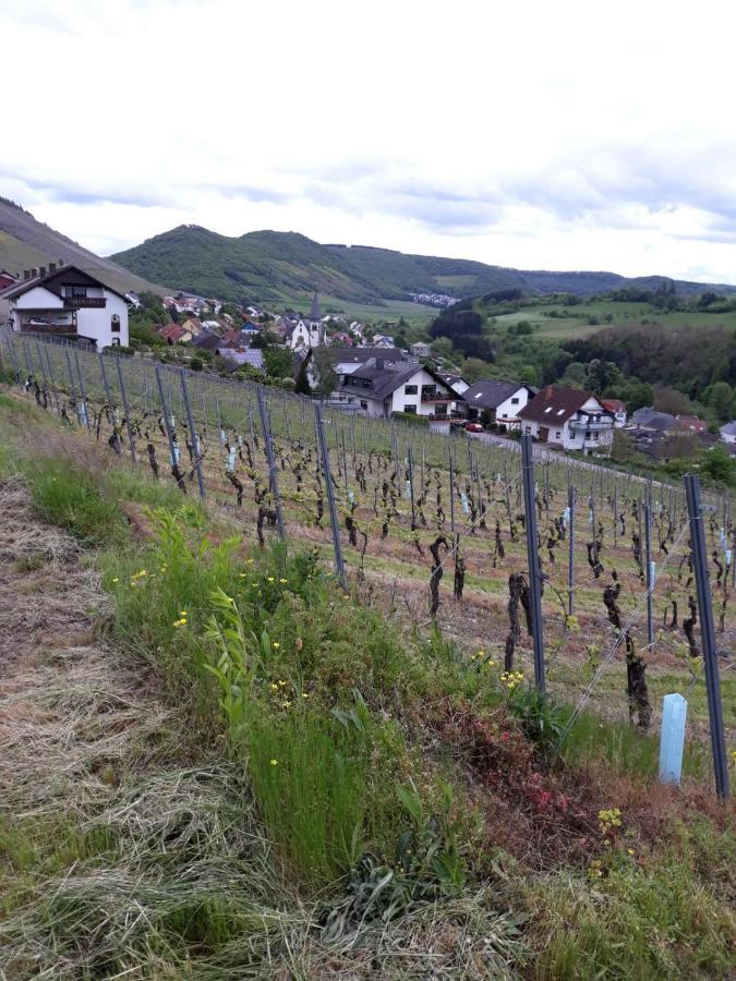 Ferienwohnung Saarblick Ockfen エクステリア 写真